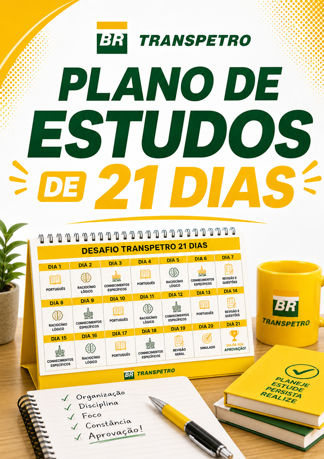Módulo 3